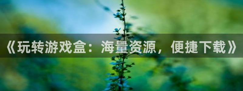 《玩转游戏盒：海量资源，便捷下载》