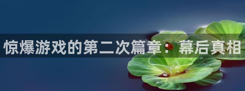 小艾电竞平台官方网站：惊爆游戏的第二次篇章：幕后真相